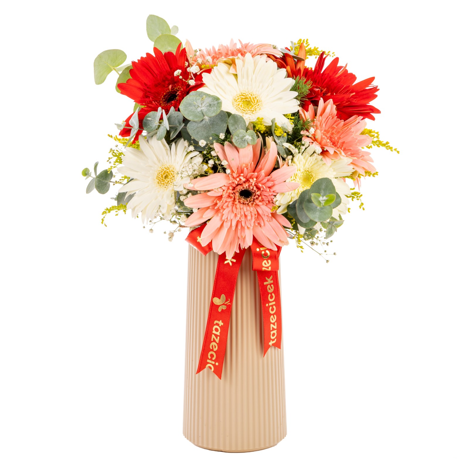 Bloom Symphony Renkli Gerbera Vazosu