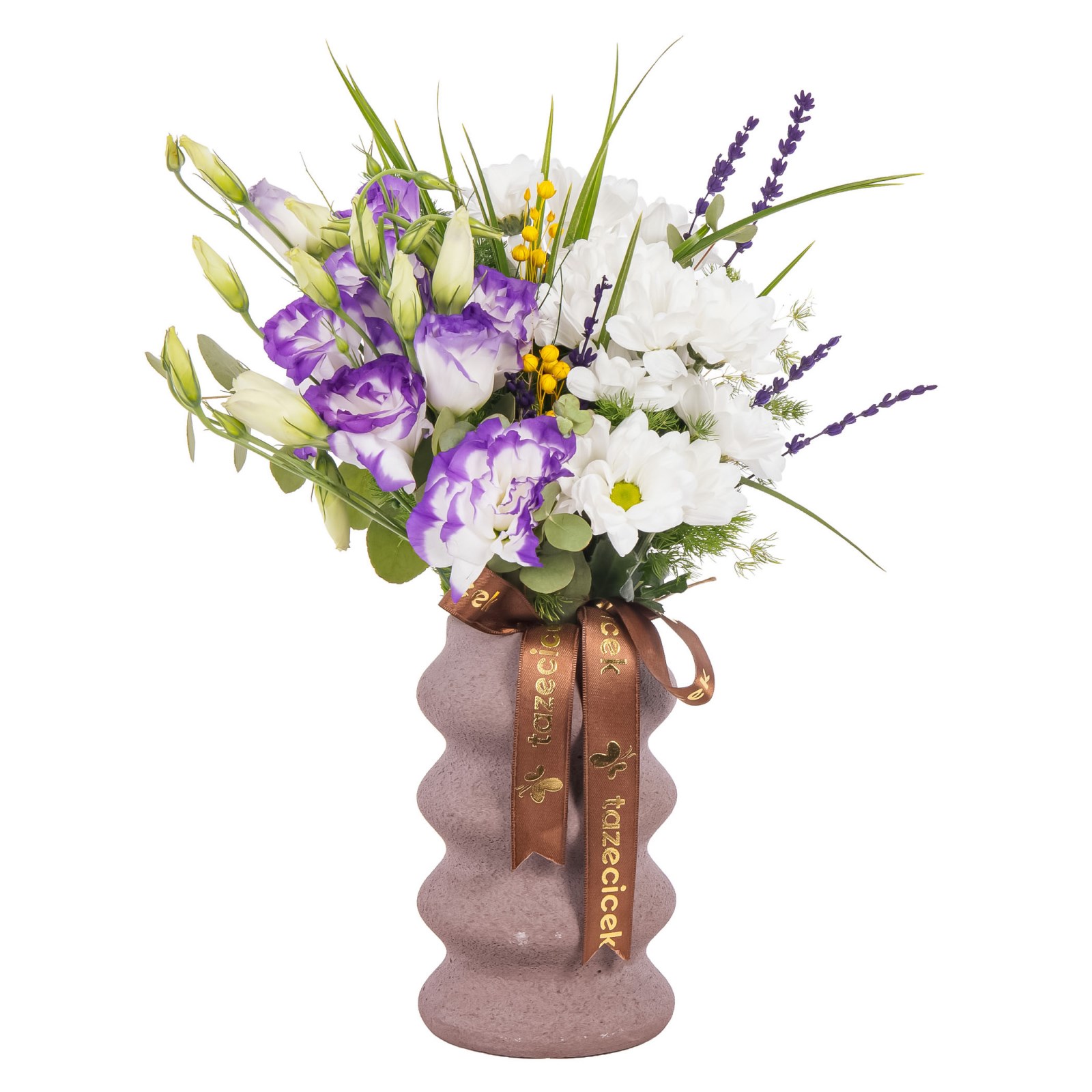Lavender Cloud Papatyalar