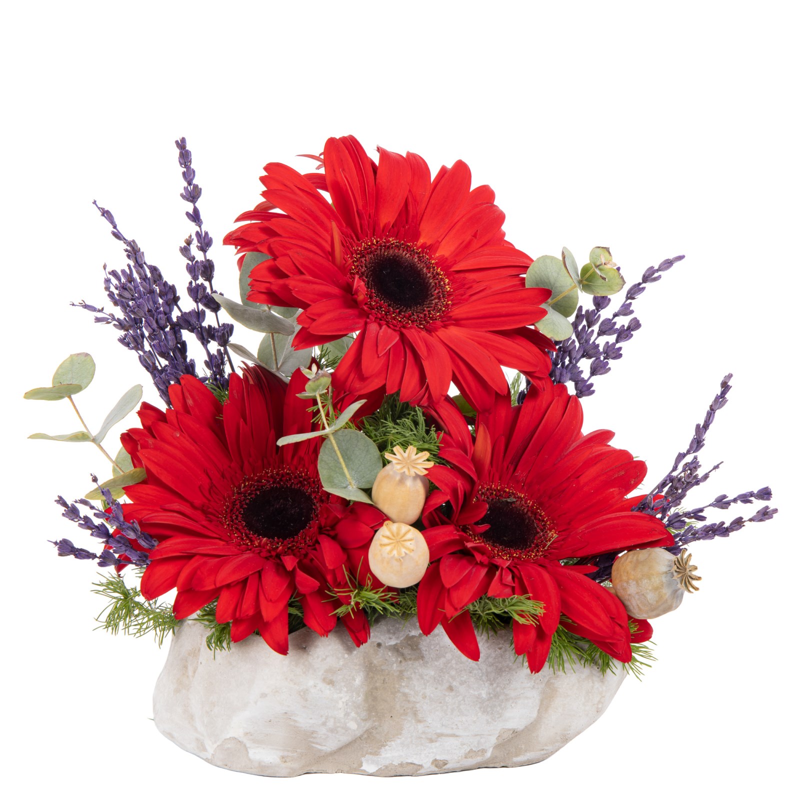 Mini Ruby Gerbera Aranjmanı