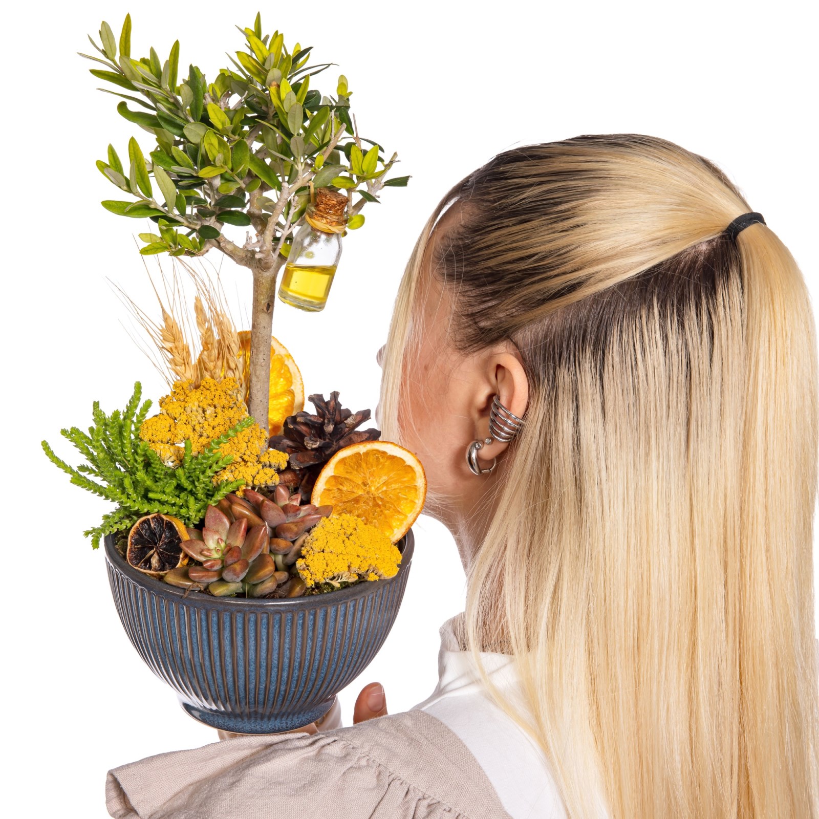 Orange Soul Zeytin Ağacı Vazoda