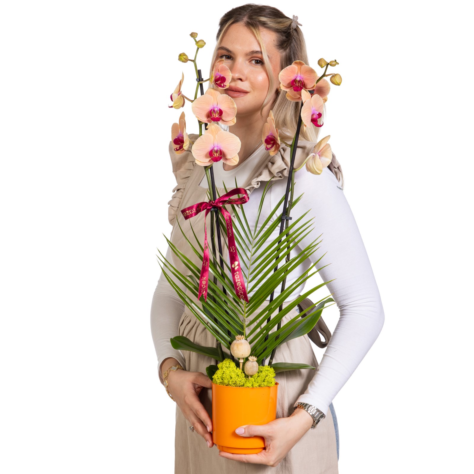 Peach Elegance Çift Dallı Orkide
