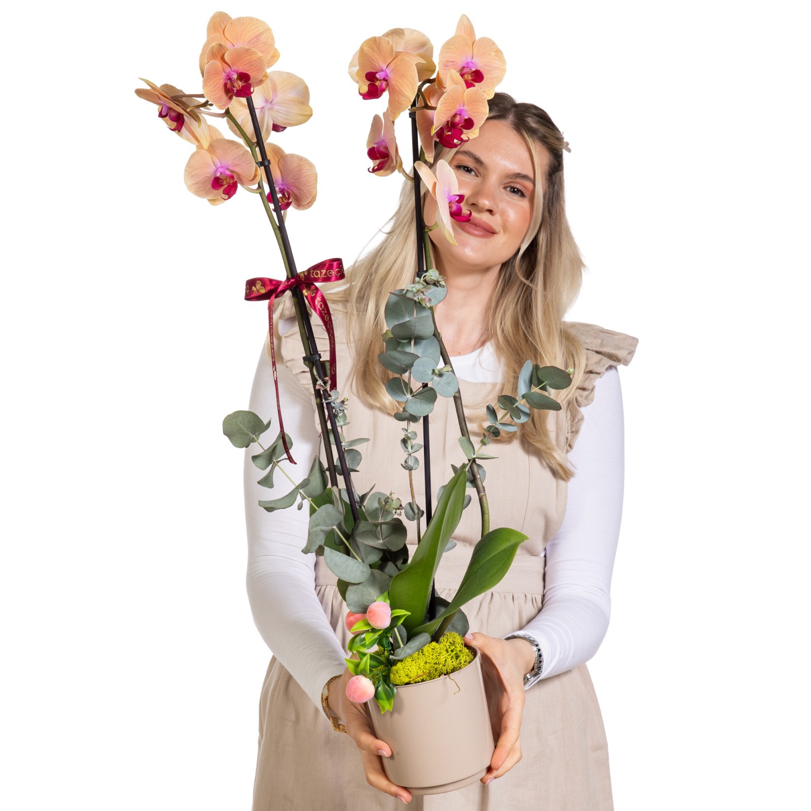 Peach Radiance Çift Dallı Orkide