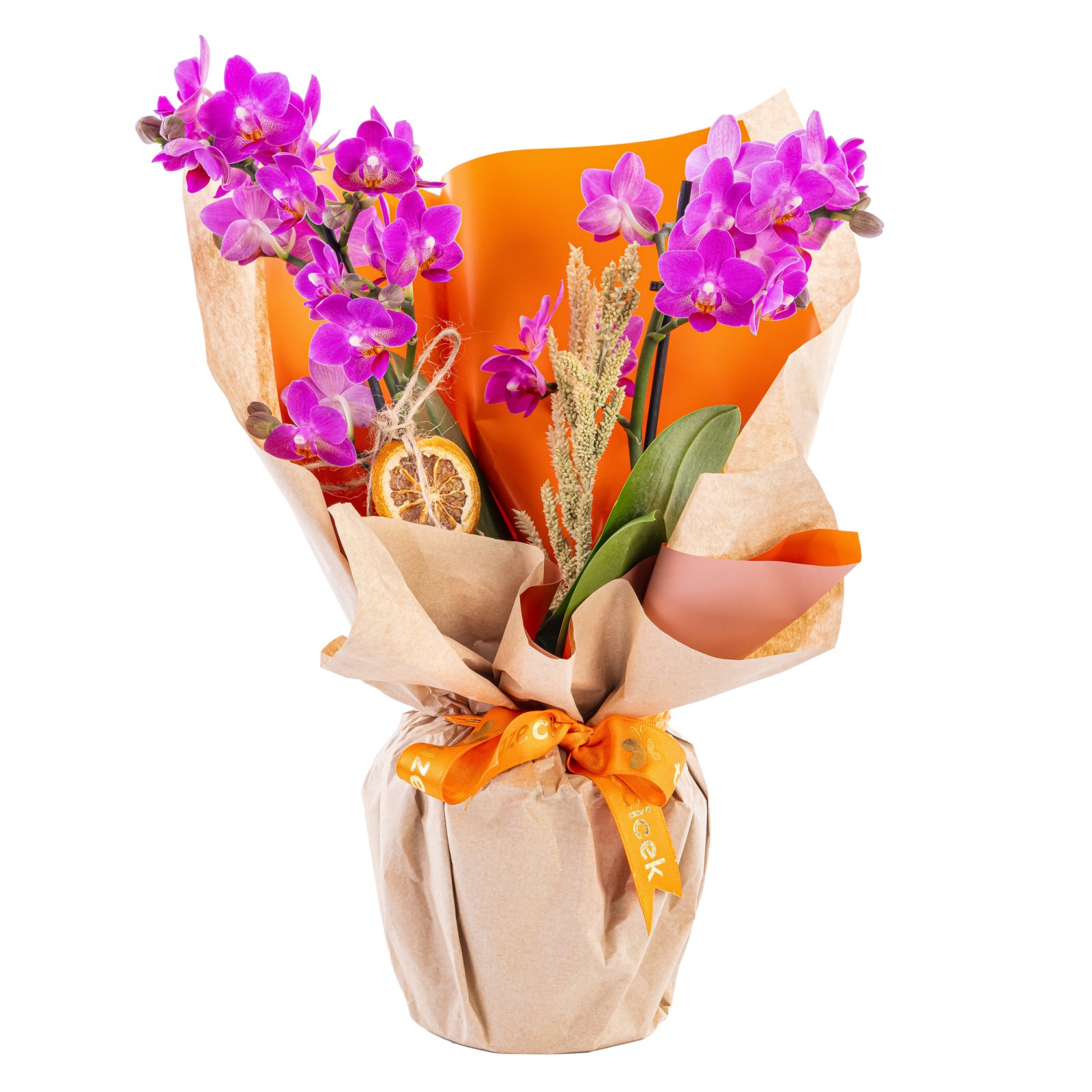 Rustic Love Orkide