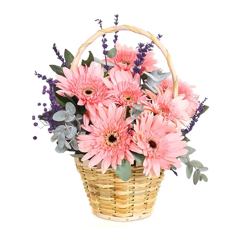Sweet Suprise Pembe Gerbera Aranjmanı